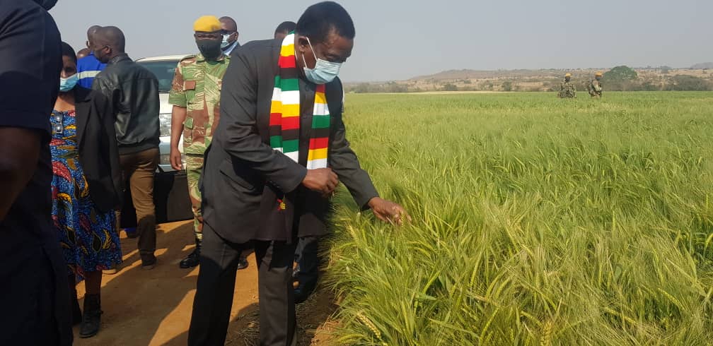 President Mnangagwa spearheads agricultural production