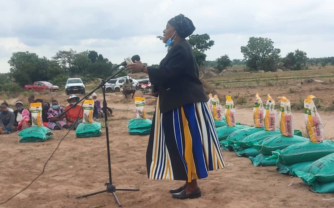 Pfumvudza for peri-urban launched in Marondera