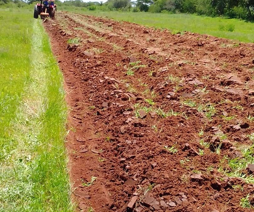 Free Tillage Programme to bolster small scale farmers.